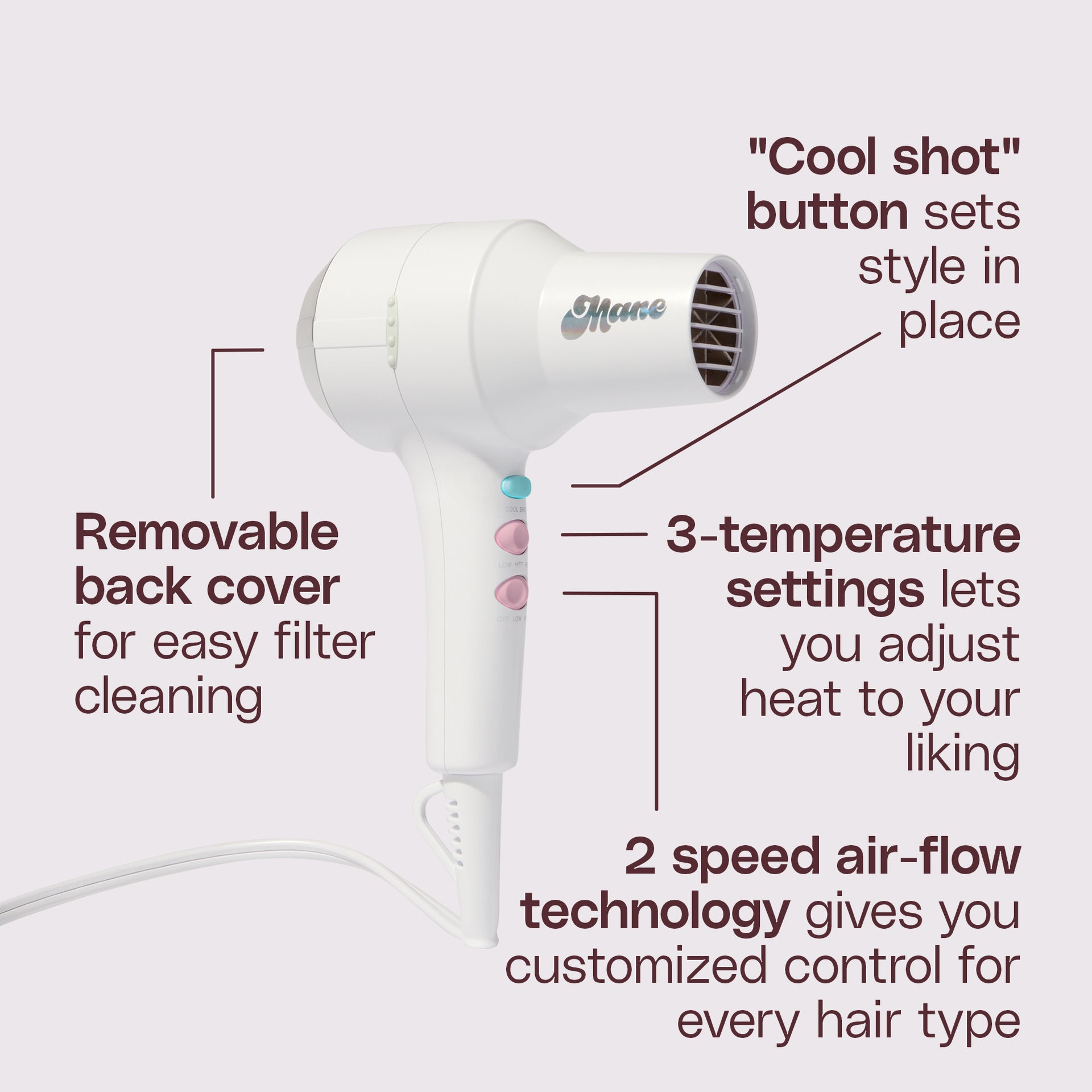 mane this totally blows hair dryer features and benefits